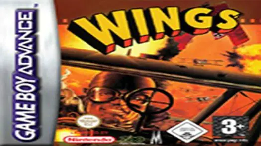 Wings game