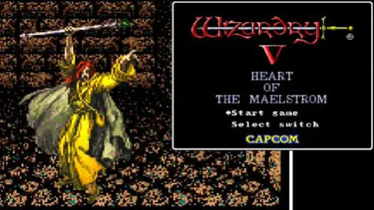 Wizardry V - Heart Of The Maelstrom game