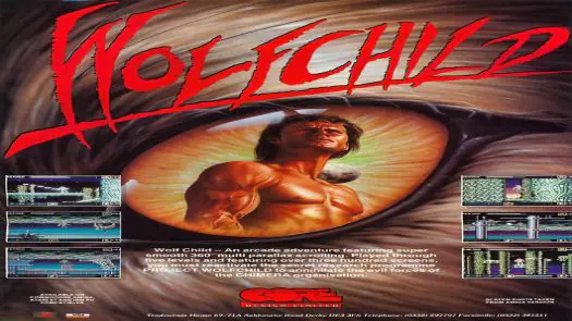 Wolfchild_Disk1 game