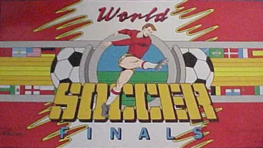 World Soccer Finals game