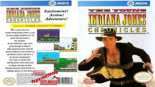  Young Indiana Jones Chronicles, The game